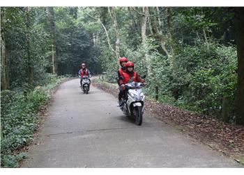 vespa tour hanoi - Ninh Binh Motorbike Tour & Cuc Phuong National Park 2 Days 